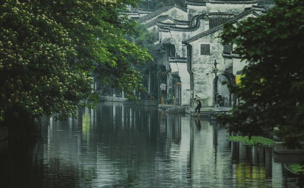 澳洲皮草